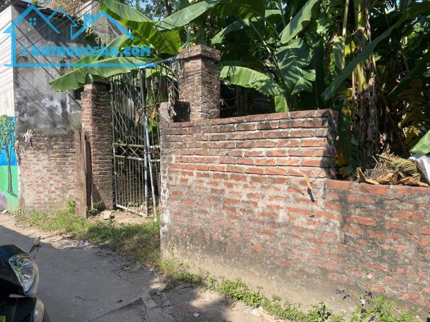 Bán đất 169m đường thông sát đại đô TP olympic