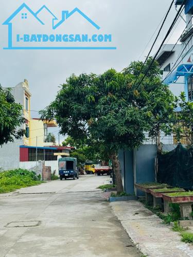 50m2 tại Tê Chử Đồng Thái An Dương Hải Phòng