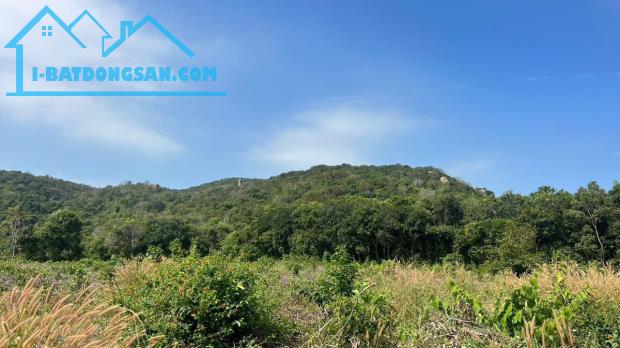 HÀNG THANH LÝ CUỐI NĂM HẠ GIÁ GÃ NHANH CẶP ĐẤT SÁT CHÂN NÚI MINH ĐẠM GIÁ CHỈ 680TR