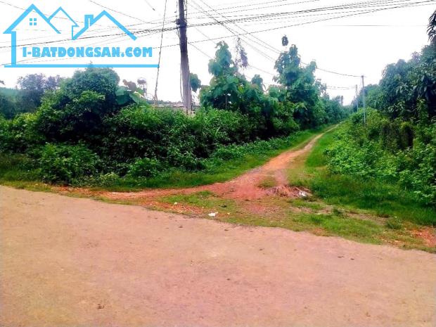 Bán đất góc 2 MT ĐT 761, Thanh Sơn, Định Quán; 46.048m2, giá 23,5 tỷ.