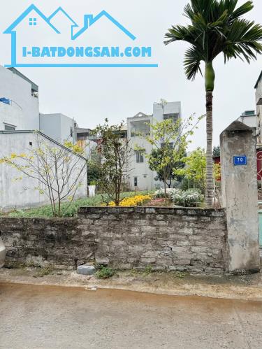 Bán 2 lô đất ngõ phố Bảo Tháp, ph Tân Hưng, TP HP mới, 47.3m2, 48m2, mt 4m, chỉ 1.49 tỷ