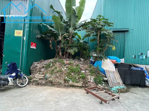 BÁN ĐẤT SIÊU HIẾM CỰ KHÊ – SÁT KĐT THANH HÀ, XÃ BÌNH MINH, THANH OAI Chủ cần tiền gấp nê