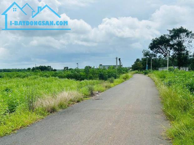 Bán Gấp 15x45m= 670m2 đất thổ cư ngay chợ thông ra ql13 dân đông. giá 180 triệu