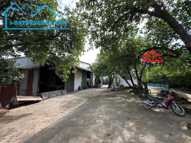 X087 bán nhà xưởng đang có dòng tiền cho thuê cao, ổn định, NX khung thép tiền chế