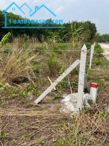 Bán lô đất đường nhựa xe hơi ĐT 748, An Điềm, Bến Cát, Bình Dương