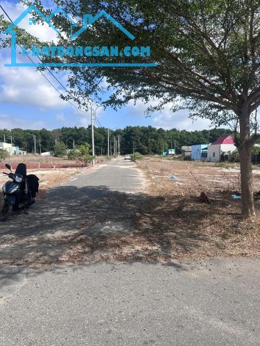 🔥 LÔ ĐẤT SÁT BIỂN – CHỈ 100M RA ĐƯỜNG VEN BIỂN – GIÁ TỐT ĐẦU TƯ 🔥