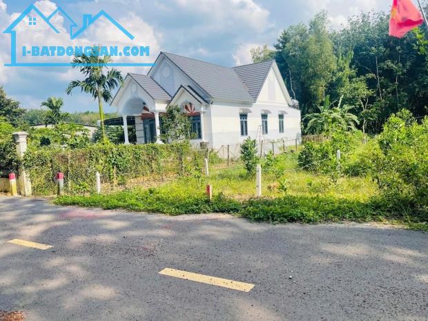 SANG RẺ (12X40=480M2) THỔ CƯ SHR MT NHỰA NGAY CHỢ, TRƯỜNG HỌC DÂN ĐÔNG GIÁ 660 TRIỆU