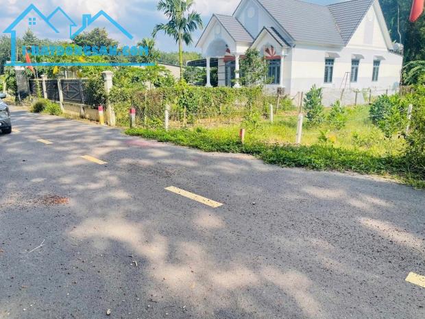 SANG RẺ (12X40=480M2) THỔ CƯ SHR MT NHỰA NGAY CHỢ, TRƯỜNG HỌC DÂN ĐÔNG GIÁ 660 TRIỆU