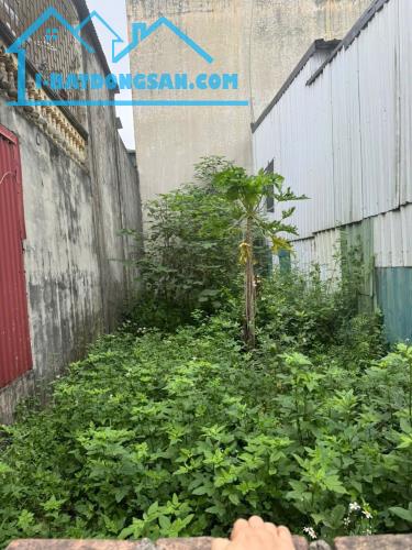 Siêu hiếm đất 53m Nguyễn Quốc Trịnh Đại Áng Thanh Trì đường 10m