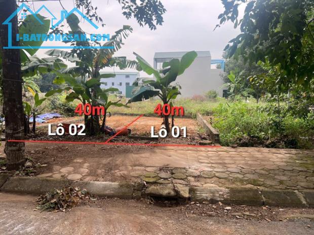 2 LÔ HOA HẬU TĐC ĐHQG HOÀ LẠC