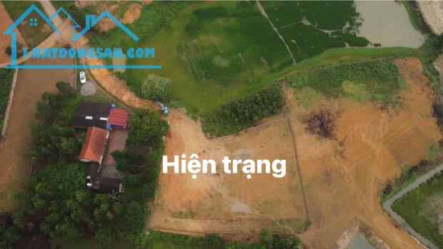 Đô Lương, Trung Giã, Hà Nội: 1600m2, lên phối cảnh, giá rẻ như tặng gửi nhà ĐT.