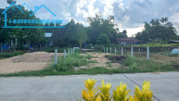 Đất Tam Dân (xã Phú Ninh) kẹt nên để lại giá rẻ