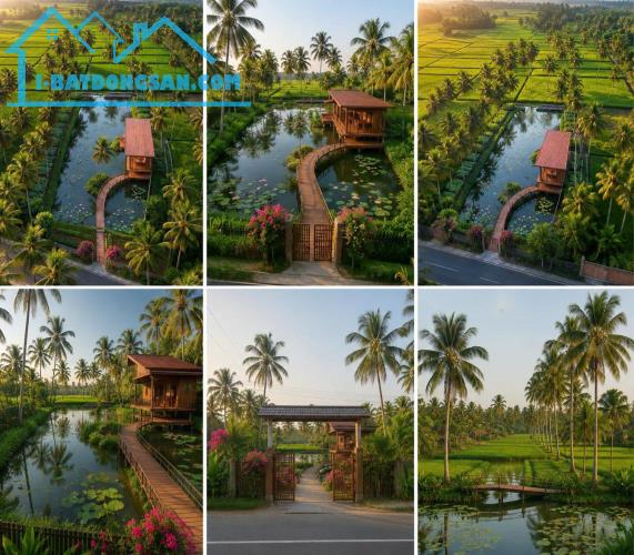 BÁN ĐẤT, MẶT TIỀN, LỘ LỚN XE TẢI – 1.000M² 100M2 ĐẤT Ở – NGAY CHỢ , ĐỒNG THÁP