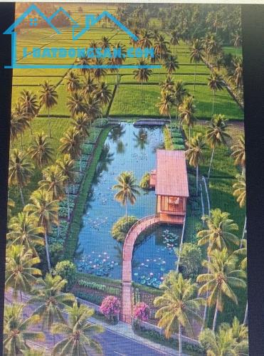 BÁN ĐẤT GẦN 1.000M² – NGANG 19M – Ô TÔ TỚI ĐẤT – NGAY CHỢ,LẤP VÒ ĐỒNG THÁP