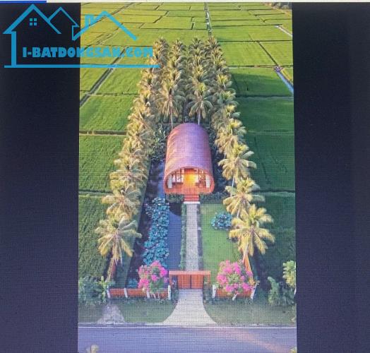 BÁN LÔ ĐẤT ĐẸP- MẶT TIỀN 19M - 1000M2 – GẦN CHỢ ĐẤT SÉT – THANH KHOẢN TỐT