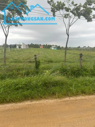 Bán 500m2 đất thổ cư hẻm Nguyễn Tri Phương, LaGi giá đầu tư gần biển