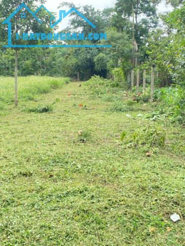 BÁN ĐẤT,1000M2,MẶT TIỀN 19M HIẾM GẶP – ĐƯỜNG Ô TÔ TỚI ĐẤT – GẦN CHỢ ĐẤT SÉT
