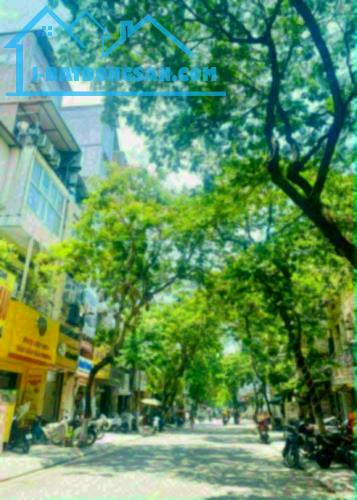 BÁN GẤP MẢNH ĐẤT VÀNG ĐỘI CẤN TT BA ĐÌNH GIÁP RANH CẦU GIẤY 60M MT 4M NHỈNH 16 TỶ