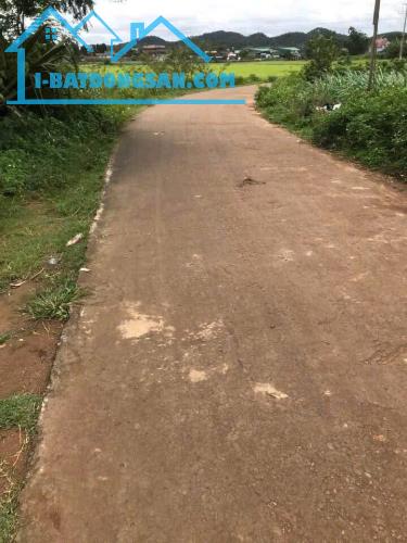 BÁN 170m2 Đất Phú Hội đường Thống Nhất Đức Trọng Lâm Đồng Giá 800 triệu