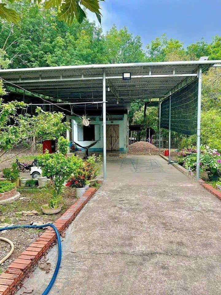 Bán nhà Xã Minh Thạnh, Dầu Tiếng, Bình Dương, 600m², giá chỉ 600 triệu