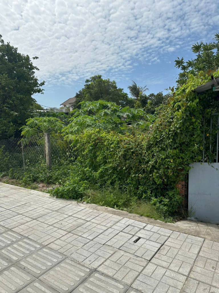 BÁN LÔ ĐẤT BỬU LONG CŨ, MẶT TIỀN BỜ KÈ, NAY THUỘC PHƯỜNG TRẤN BIÊN, VỊ TRÍ SIÊU ĐẸP